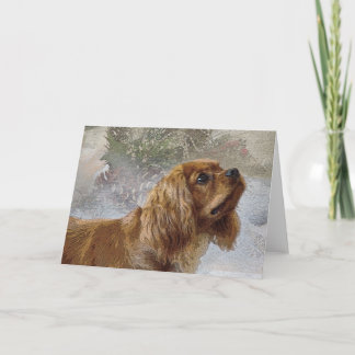 Cartão De Festividades Ruby Cavalier Christmas Card