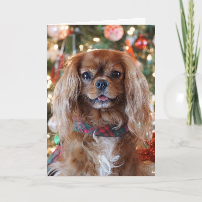 Cartão De Festividades Ruby Christmas (Frente)