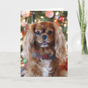 Cartão De Festividades Ruby Christmas