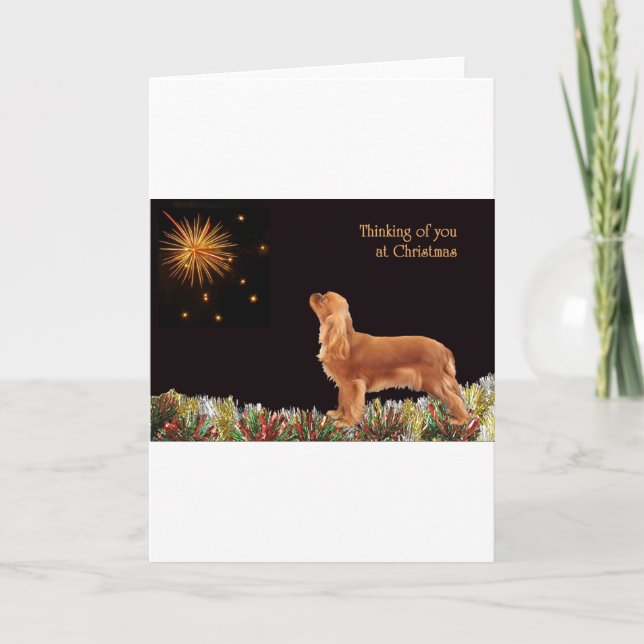 Cartão De Festividades Ruby Christmas Cavalier (Frente)