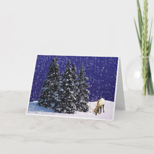 Cartão De Festividades Rudolf, Reindeer