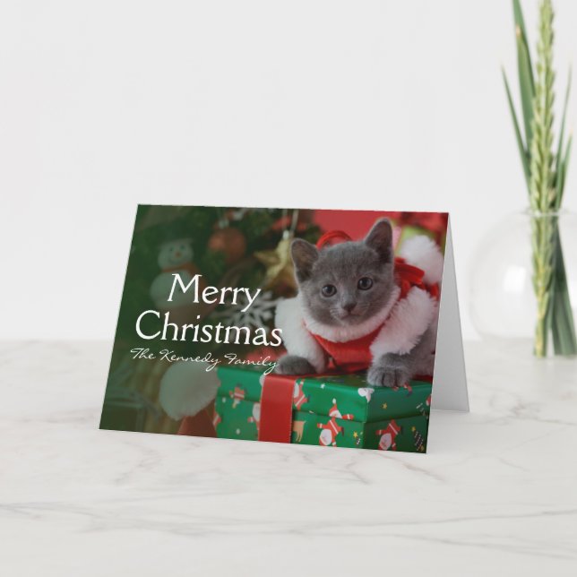 Cartão De Festividades Russian Blue Kitten and Christmas (Frente)