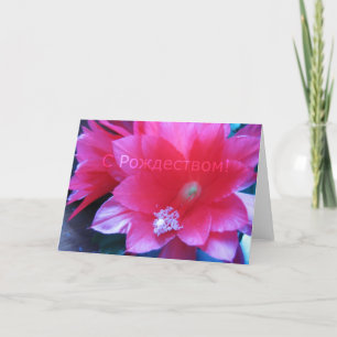 Cartão De Festividades Russian Merry Christmas Card, Christmas Cactus