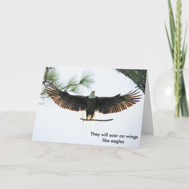 Cartão De Festividades S and P Birkner (Frente)