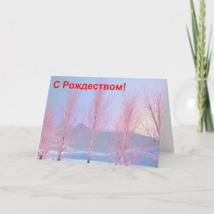 Cartão De Festividades S Rozhdestvom - Birch do Creme de Framboesa