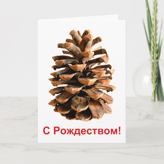 Cartão De Festividades S Rozhdestvom - Jerusalem Pine Cone (Frente)