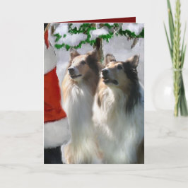 Cartão De Festividades Sable Rough Collie presentes de Natal