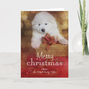 Cartão De Festividades Samoyed Puppy Dog With Christmas Gifts