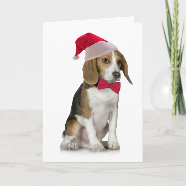 Cartão De Festividades Santa Beagle Christmas Card (Frente)