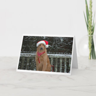 Cartão De Festividades santa bear