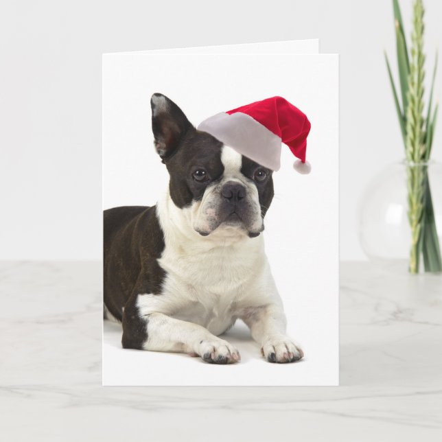 Cartão De Festividades Santa Boston Terrier Christmas Card (Frente)