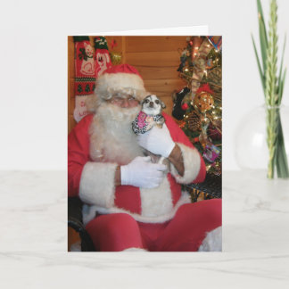 Cartão De Festividades Santa & Chihuahua