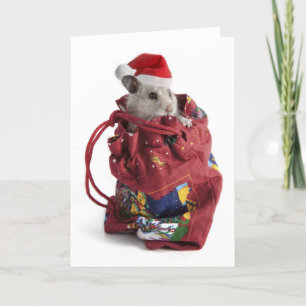 Cartão De Festividades Santa Claus Hamster