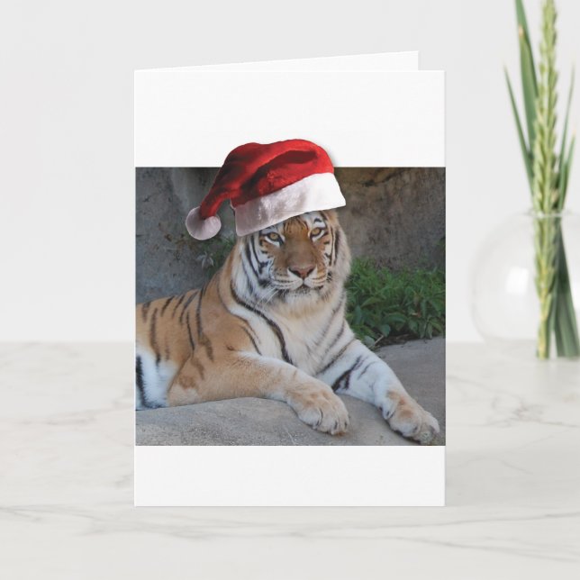 Cartão De Festividades Santa Hat Bengal Tiger (Frente)