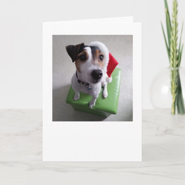 Cartão De Festividades Santa Jack Russell Terrier Christmas Card (Frente)