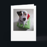 Cartão De Festividades Santa Jack Russell Terrier Christmas Card<br><div class="desc">Send your Christmas wishes with the help of Santa's cute little helper! This JRT card is sure to bring smiles.</div>