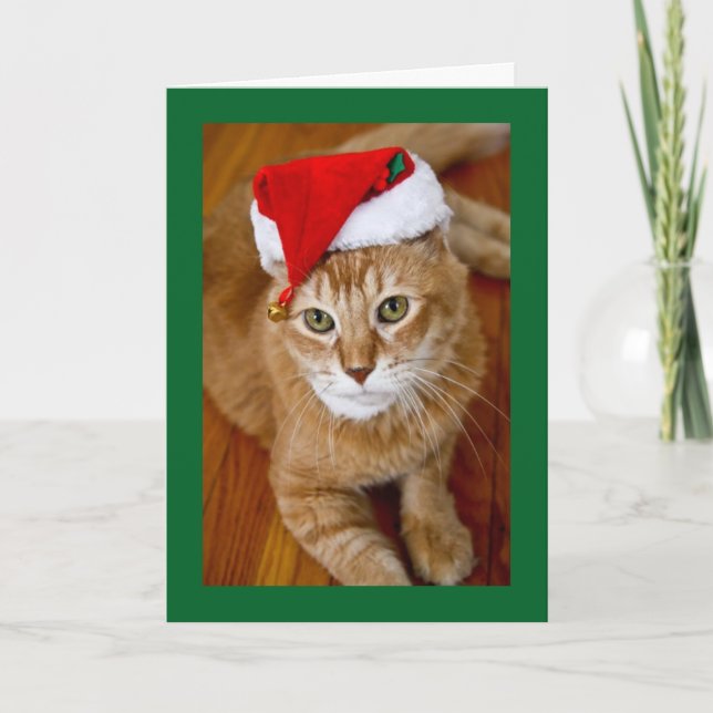 Cartão De Festividades Santa Kitty Christmas Card (Frente)