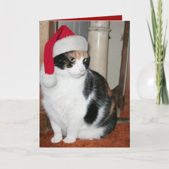 Cartão De Festividades Santa Kitty Christmas card for cat lover (Frente)