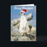 Cartão De Festividades Santa Meerkat Christmas Card<br><div class="desc">Santa Meerkat,  customisable Christmas card,  featuring a watchful meerkat acting as Father Christmas / Santa Claus wearing a red and white Santa hat!</div>