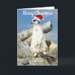 Cartão De Festividades Santa Meerkat Christmas Card<br><div class="desc">Santa Meerkat,  customisable Christmas card,  featuring a watchful meerkat acting as Father Christmas / Santa Claus wearing a red and white Santa hat!</div>