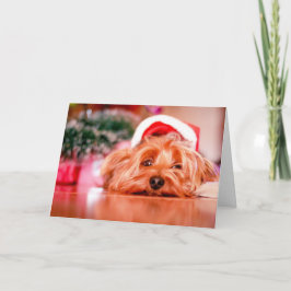 Cartão De Festividades Santa Paws Christmas Card