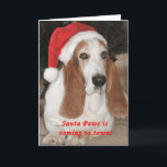 Cartão De Festividades Santa Paws "Merry Christmas" Card<br><div class="desc">As a non-profit 501 (c) (3) animal welfare organization, Arizona Basset Hound Rescue, Inc. provides veterinary care, food, support, and shelter to Basset Hounds, Bloodhounds and Basset Hound mixes needing assistance in Arizona. We treat these animals as our own, with the utmost care and respect and make decisions based on...</div>