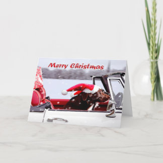 Cartão De Festividades Santa Paws on a Mission!