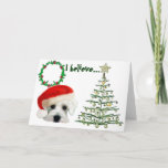 Cartão De Festividades Santa Schnauzer Christmas Card<br><div class="desc">I believe in Santa Paws. White Miniature Schnauzer with Santa cap.  Schnauzers-Rule.com</div>