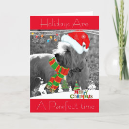 Cartão De Festividades Santa Westie Terrier Holiday Greeting Card