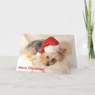 Cartão De Festividades Santa Yorkie Card