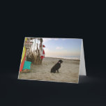 Cartão De Festividades Santa's chocolate Lab dog beach waves<br><div class="desc">I call this card "Moses Poses". I met Moses at my vets office and he was just so handsome and was begging to be in one of my Santa photos. So Moses stands guard at Santa's beach shack,  while Santa hits the waves.</div>