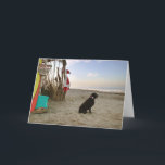 Cartão De Festividades Santa's chocolate Lab dog beach waves<br><div class="desc">I call this card "Moses Poses". I met Moses at my vets office and he was just so handsome and was begging to be in one of my Santa photos. So Moses stands guard at Santa's beach shack,  while Santa hits the waves.</div>