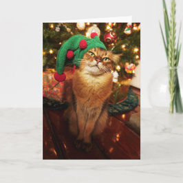 Cartão De Festividades Santa's Elf Kitty Somali Cat Christmas Card