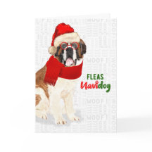 Santo de Natal Bernard Dog Fleas NaviDOG