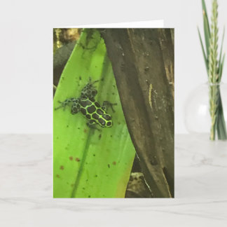 Cartão De Festividades Sapo Verde Veneno