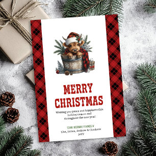 Cartão De Festividades Saudação de Natal personalizada de vaca das Terras