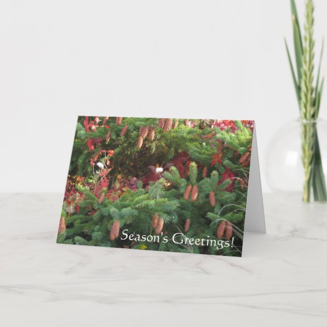 Cartão De Festividades Saudações da Estação (Frente)