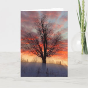 Cartão De Festividades Saudações da temporada!