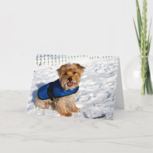 Cartão De Festividades Saudações de Cachorrinho!