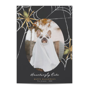 Cartão De Festividades Saudações de Foto de Halloween Encantadoramente Fo