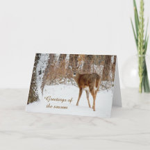 Saudações de Natal Carta de Veado de Cauda Branca