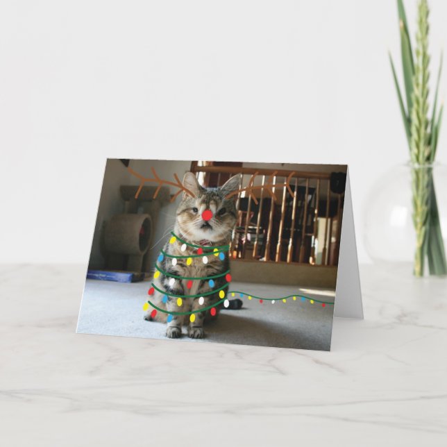 Cartão De Festividades Saudações de Sneezin (Frente)