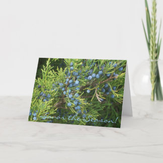 Cartão De Festividades Savor The Season