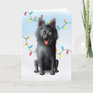 Cartão De Festividades Schipperke Christmas