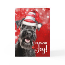 Schnauzer Cachorro Libere a Alegria Natal