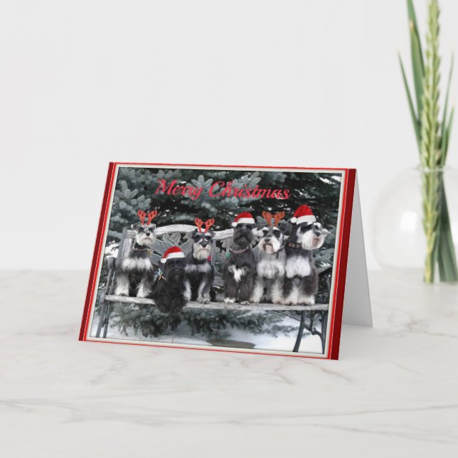 Cartão De Festividades Schnauzer Christmas card (Frente)