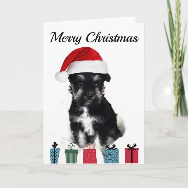 Cartão De Festividades Schnauzer Christmas Card (Frente)