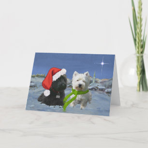 Cartão De Festividades Scottie e Westie Estrela de Natal