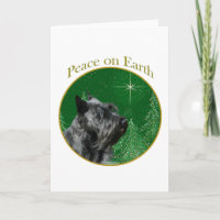 Scottish Terrier Peace