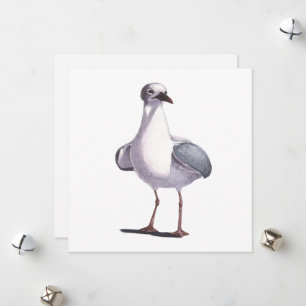 Cartão De Festividades Seagull
